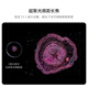 [95% Nouveau] Huawei Pura 70 Pro + Phantom Black 16 Go + 512 Go Ultra-High Speed ​​Fengchi Flash Shooting Ultra-concentrated Macro Televery
