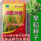 Upland rice seeds Zhenghan No. 10 Rice sown on dry land in mountains and hills Conventional varieties Japonica rice Indica rice Glutinous rice Zhenghan No. 10 250g bulk