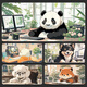 
Three-color cat and mouse pad super large girl office cat and dog cute cartoon funny simple dormitory text computer key 12159 little raccoon 60 cm x 30 cm x 2 mm