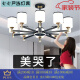 Op lamp living room chandelier 2024 new Nordic lamps modern simple atmosphere new Chinese style shop commercial restaurant main light 1 head white light