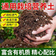 Universal plant nutrient soil for flower cultivation, succulent pothos seedlings, flower fertilizer soil, flower organic soil 5 Jin Jin is equal to 0.5 kg, selected high-grade nutrient soil, universal type