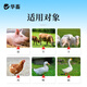 Hua livestock and veterinary baking soda powder feed additive sodium bicarbonate for breeding pigs, cattle, sheep and poultry feed baking soda as low as 39.9/barrel multi-dimensional baking soda total 30Jin Jin is equal to 0.5kg