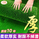 Elegant ground decoration lawn simulation artificial plastic fake turf artificial carpet balcony outdoor kindergarten green bedding 2.0 cm spring grass encrypted grass