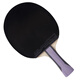 Double Happiness DHS Crazy Purple Six-Star Table Tennis Racket Horizontal Competition 7-layer Pure Wood H6001 with Ball