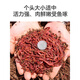 Yuyongji (YUYONGJI) live earthworm bait, fresh red worm fishing bait, crucian carp, carp, wild fishing black pit fish feed, nest making feed, fish food, live earthworms, 1 box (currency)