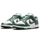 
Nike men's cushioning DUNK LOW sports shoes casual shoes DD1391-101 40.5