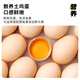 Tongqinglou Thin Celsius buns 840g, 24 pieces in total, leek, egg stuffing, raw fried vegetarian stuffing, breakfast noodle order