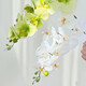 Flower e-flow Phalaenopsis artificial flower fake flower table decoration light luxury high-end flower arrangement dining table floral decoration home decoration 1 branch white + narrow mouth flat bottle