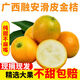 Spicy Youth Kumquat VC Guangxi Smooth Skin Kumquat Seedless Seasonal Fruit Crispy Kumquat Green and Yellow Skin Sweet and Not Numbing Net Weight 5Jin Jin is equal to 0.5kg