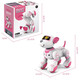 JJRIC 1 Junio ​​Regalo Voz de voz Controlada Robot inteligente Dog Children Toys Boys 3-6 años Niñas Educación temprana Robot Robot Electronic Dog Intelligent Education Educación temprana Robot Dog [Pink] 6.1 Día del Día del Niños Regalos Caminantes Electronic Dog