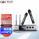 Glenston G12PV three-in-one with one-to-two wireless microphone pre-reverberator dual-channel high-power 600W power amplifier all-in-one anti-howling Bluetooth USB conference home ktv G12PV (with microphone integrated power amplifier)