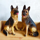 Cage fun simulated dog ornaments floor-standing sculpture living room courtyard home furnishings animal model large resin wolf dog housekeeper Wolf dog A style right style 22cm high