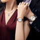 Leimai Watch (Reimah) [Buenos regalos] Mira la pareja de cuarzo casual Matriz de calendario para hombres Brown Black Black Leather Women's Watch 6169m/L L6169. RW cuero marrón para mujeres