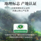 
Tea Master Oolong Tea Phoenix Single-Song Duck Shit Fragrance Special Level 500g Canned Chaozhou Single-Song Tea