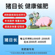 Pig Day Growth Veterinary Growth Hormone Fattening Pig Pig Fattening Weight Gain Promoting Growth Concentrated Feed Piglet Premix Fattening Agent Pig Day Growth 5kg/barrel 2 barrels