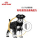 ROYAL CANIN Royal Dog Food SNJ30 Mini Schnauzer Puppy Dog Food Full Price Food [February-October] SNJ30 Schnauzer Puppy 1.5KG