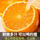 
Uncle Sam Sichuan Ehime No. 38 Jelly Orange Seasonal Fruit Citrus Rock Sugar Orange Orange Ugly Orange Gift Box New Year's Gift [Sweet-Tribute Fruit] 20-Year-Old Tree | Single Fruit 75-80mm 5Jin [Jin equals 0.5kg] Gift Box [Gift Recommendation] Net 4.5Jin [Jin equals 0.5kg]