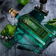 Jellin Likör Tschechisch Rudolph Anis Absinthe Likör Originalflasche mit importiertem ausländischen Weingetränk Basis Wein Tschechische Rudolph Absinthe 700 ml 1 Flasche