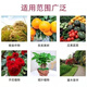 Wenshiou Potash Fertilizer Wholesale Russian Imported High Potassium High Efficiency Fertilizer General Instant Fertilizer for Agricultural Flowers, Fruit Trees and Vegetables Express 20Jin Jin is equal to 0.5kg Factory direct sales quality assurance
