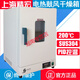 电热恒温鼓风干燥箱DHG-9030A 9070A烘箱9140烤箱9240 DHG-9923A立式200