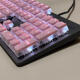 Logitech Logitech Original neuer Logitech K845 Mechanischer Tastaturschlüsselkap Original durchscheinender zweifarbiger Pudding Kirschpudding Lila Set 104 Tasten Nr.