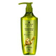 Schwarzkopf Ginger Essence Shampoo Oil Control Type 400ml [Expiration Clearance]