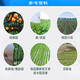 沪联植保 沪联万红 757草甘膦 68%草甘膦铵盐粉剂农药 非耕地除杂草行间杂草烂根农用草甘磷除草剂 50克/袋*10袋