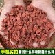 Ningxia zhongning rojo wolfberry auténtico aguas residuales wolfberry big gouqi big gránulos empapado té de té para hombres no contaminados y no sulfuros ningxia rojo wolfberry 500g