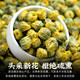 陈一凡 菊花茶250g 胎菊王优质胎菊可搭枸杞金银花煮水花草茶袋装 胎菊250g