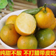 Spicy Youth Kumquat VC Guangxi Smooth Skin Kumquat Seedless Seasonal Fruit Crispy Kumquat Green and Yellow Skin Sweet and Not Numbing Net Weight 5Jin Jin is equal to 0.5kg