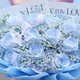 
Flowers delivered flowers express broken ice blue rose bouquet birthday gift for girls friends in the same city delivery hours main recommendation [Star Love] dy679