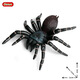 Simuliertes Gummi-Spinnen Neue Halloween Streichspielzeug simulierte Spinnengiftspinnen-Spinneninsekten-Tiermodell Kinderspielzeug Plastik Ornamente Geschenk Ox-683 Brasilianer Blue Bird-Catch-Spinne [0,017 kg]