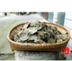 有仁堂青钱柳茶 百年古树青钱柳养生茶成叶茶 金钱柳 成叶青钱柳500克