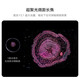 HUAWEIPura 70 Pro+ String White 16GB+512GB Ultra-high speed Fengchi flash shooting Ultra-concentrated macro telephoto Dual satellite communication Huawei P70 smartphone