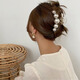Jieyi's high-end new style high-end temperament pearl clip back head clip headdress hair clip women's hair clip shark clip (large size small size) pearl hair clip each