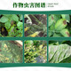 Hulian Plant Protection 40% Dimethomorph Suspending Agent Grape and Cucumber Downy Mildew Fungicide 500g*1 bottle