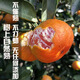 趣尝鲜台州临海涌泉蜜桔蜜橘 65-80mm 净重4.5斤 1号会员店 源头直发