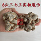 磊祥庄  三七云南文山春三七头无剪口田七 7年生8头带剪口药效王【500g】
