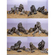 
OIMG Qinglong Stone Landscape Full Set Meal Skeleton Finished Fish Tank Natural Large Rock Raw Grass Garland Stone Water Grass Set 0.9-1m Jar Qinglong Stone Set-15664 Posted