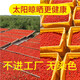 正宗宁夏头茬枸杞子500g枸杞头茬枸杞干大颗粒枸杞王泡水喝泡茶泡酒原材料 贡果【一斤】