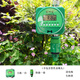 Ousia rainwater sensor solenoid valve gardening automatic timed flower irrigator dry battery timer watering host