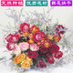 Love Yunnan Natural Rose Dried Flower Bouquet Living Room Decoration Lucky Rose Dried Flower Real Flower Decorative Ornaments Air-dried and Roasted Carnival Bubbles About 30 Heads