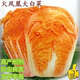 Fire Phoenix Chinese Cabbage Seeds Red Cabbage Seeds are disease-resistant, high-yielding and high in calcium. Orange and Red Cabbage are easy to grow in farmers’ fields. Matched Version. Fire Phoenix Cabbage Seeds. High-quality products - new seeds. 1 pack of approximately 199 capsules.