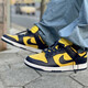耐克（NIKE）新款男女鞋Dunk Low 运动休闲低帮滑板鞋DH7913-001 DD1391-700 密歇根 蓝黄 36.5