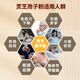 Huangshan Yunle, pared rota Ganoderma Lucidum Spore Powder, Red Ganoderma Lucidum Powder, Mejor de inmunidad, caja de regalo de Año Nuevo, regalo para ancianos, 2G/Bag*15 Bolsas*3 Cajas [Comprar 3 Obtenga 1 Cajas, Super Asequibles]