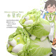 WELTSTON Vegetable Elf Plush Toy Doll Doll Doll Pillow Birthday Gift Girl Gift Vegetable Dog 30cm