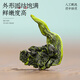 福茗源茶叶 安溪铁观音乌龙茶 兰花香特级2025新茶罐装100g春茶叶自己喝