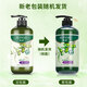 Glossy Olive Shampoo Refreshing Soft Shampoo Improves Dry Frizzy Smooth Hair Shampoo for Men and Women 750g