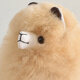 Warmpaca Alpaca Puppe Plüsch Spielzeugpuppe Geben Sie Geburtstagsgeschenk für Frau und Freundin Freundin kleiner Alpaka Pub