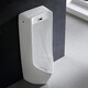 Renjuyi urinal 81987 induction integrated floor-standing USWN810BE AC